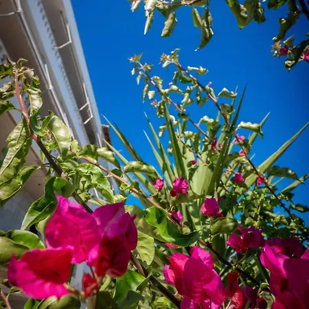 Get Comfy アパート *