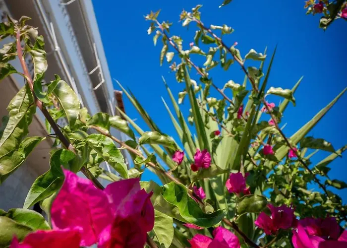 Get Comfy Apartment *